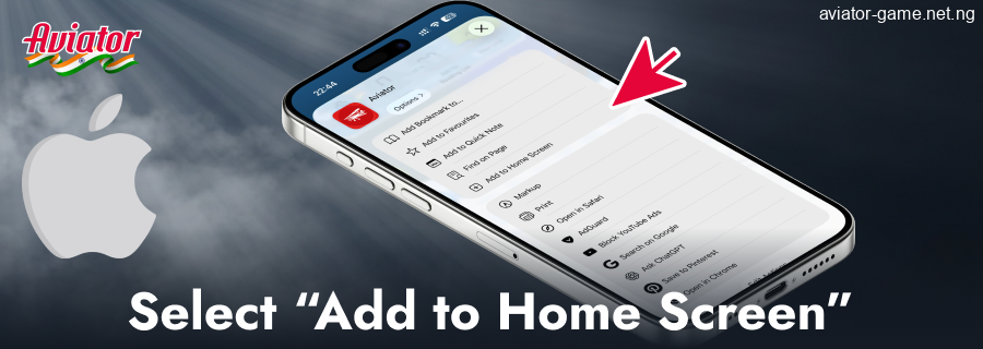 Tap Add to the Aviator for India screen